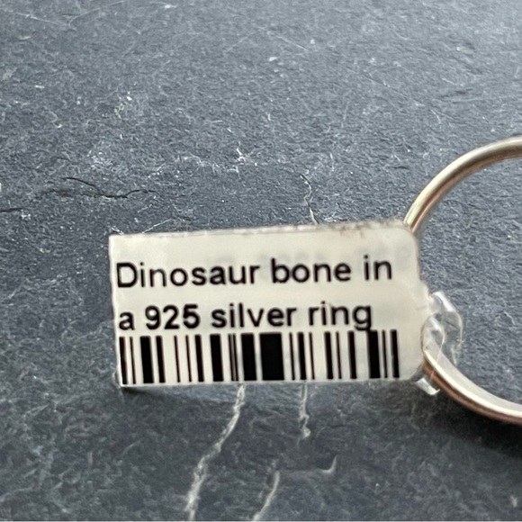 One of a kind Dinosaur Bone Stone Ring size 8